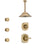 Delta Addison Champagne Bronze Finish Shower System with Control Handle, 3-Setting Diverter, Ceiling Mount Showerhead, and 3 Body Sprays SS1492CZ2