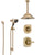 Delta Addison Champagne Bronze Shower System with Control Handle, Diverter, Ceiling Mount Showerhead, and Hand Shower with Slidebar SS1492CZ4