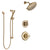Delta Linden Champagne Bronze Finish Shower System with Control Handle, 3-Setting Diverter, Showerhead, and Hand Shower with Slidebar SS1494CZ3