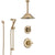 Delta Linden Champagne Bronze Shower System with Control Handle, 3-Setting Diverter, Ceiling Mount Showerhead, and Hand Shower with Slidebar SS1494CZ6