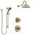 Delta Cassidy Champagne Bronze Finish Shower System with Control Handle, 3-Setting Diverter, Showerhead, and Hand Shower with Slidebar SS14971CZ4