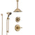 Delta Cassidy Champagne Bronze Shower System with Control Handle, Diverter, Ceiling Mount Showerhead, and Hand Shower with Slidebar SS14972CZ1