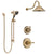 Delta Cassidy Champagne Bronze Finish Shower System with Control Handle, 3-Setting Diverter, Showerhead, and Hand Shower with Slidebar SS14972CZ4