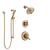 Delta Linden Champagne Bronze Finish Shower System with Dual Control Handle, 3-Setting Diverter, Showerhead, and Hand Shower with Slidebar SS17294CZ2