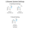 Delta Lahara Stainless Steel Shower System with Dual Control Shower Handle, 3-setting Diverter, Large Rain Showerhead, and Handheld Shower SS173881SS