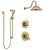 Delta Lahara Champagne Bronze Finish Shower System with Dual Control Handle, 3-Setting Diverter, Showerhead, and Hand Shower with Slidebar SS1738CZ1