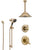 Delta Lahara Champagne Bronze Shower System with Dual Control Handle, Diverter, Ceiling Mount Showerhead, and Hand Shower with Slidebar SS1738CZ3