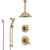 Delta Lahara Champagne Bronze Shower System with Dual Control Handle, Diverter, Ceiling Mount Showerhead, and Hand Shower with Slidebar SS1738CZ4