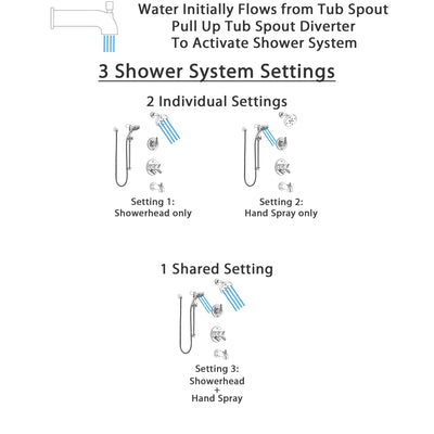 Delta Trinsic Chrome Finish Dual Control Handle Tub and Shower System, 3-Setting Diverter, Showerhead, and Temp2O Hand Shower with Slidebar SS174594