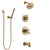 Delta Trinsic Champagne Bronze Tub and Shower System with Dual Control Handle, Diverter, Showerhead, and Hand Shower with Wall Bracket SS17459CZ3