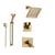 Delta Vero Champagne Bronze Shower System with Dual Control Shower Handle, 3-setting Diverter, Modern Square Showerhead, and Handheld Shower SS175385CZ