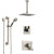 Delta Vero Stainless Steel Finish Shower System with Dual Control Handle, Diverter, Ceiling Mount Showerhead, and Hand Shower with Grab Bar SS1753SS1