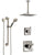 Delta Ashlyn Dual Control Handle Stainless Steel Finish Shower System, Diverter, Ceiling Mount Showerhead, and Hand Shower with Grab Bar SS1764SS2