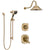 Delta Addison Champagne Bronze Finish Shower System with Dual Control Handle, 3-Setting Diverter, Showerhead, and Hand Shower with Slidebar SS1792CZ5