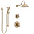 Delta Linden Champagne Bronze Finish Shower System with Dual Control Handle, 3-Setting Diverter, Showerhead, and Hand Shower with Slidebar SS1794CZ2