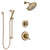 Delta Linden Champagne Bronze Finish Shower System with Dual Control Handle, 3-Setting Diverter, Showerhead, and Hand Shower with Slidebar SS1794CZ3