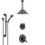 Delta Linden Venetian Bronze Shower System with Dual Control Handle, Diverter, Ceiling Mount Showerhead, and Hand Shower with Grab Bar SS1794RB5