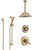 Delta Cassidy Champagne Bronze Shower System with Dual Control Handle, Diverter, Ceiling Mount Showerhead, and Hand Shower with Slidebar SS1797CZ2