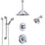 Delta Victorian Chrome Shower System with Dual Thermostatic Control, Diverter, Showerhead, Ceiling Showerhead, and Grab Bar Hand Shower SS17T25525