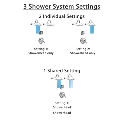 Delta Cassidy Polished Nickel Finish Shower System with Dual Thermostatic Control Handle, 3-Setting Diverter, 2 Showerheads SS17T2972PN3