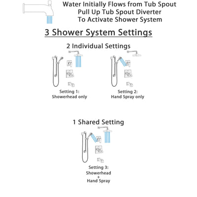 Delta Ara Stainless Steel Finish Dual Thermostatic Control Tub and Shower System, Diverter, Showerhead, and Hand Shower with Grab Bar SS17T4672SS3