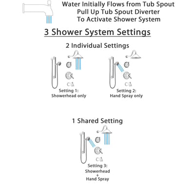 Delta Cassidy Stainless Steel Finish Dual Thermostatic Control Tub and Shower System, Diverter, Showerhead, and Hand Shower with Grab Bar SS17T4972SS6
