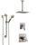 Delta Ara Dual Thermostatic Control Stainless Steel Finish Shower System, Diverter, Ceiling Mount Showerhead, and Grab Bar Hand Shower SS17T672SS3