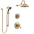 Delta Cassidy Champagne Bronze Shower System with Dual Thermostatic Control Handle, Diverter, Showerhead, and Hand Shower with Slidebar SS17T971CZ1