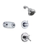 Delta Cassidy Chrome Shower System with Thermostatic Shower Handle, 3-setting Diverter, Showerhead, and Dual Body Spray Shower Plate SS17T9785