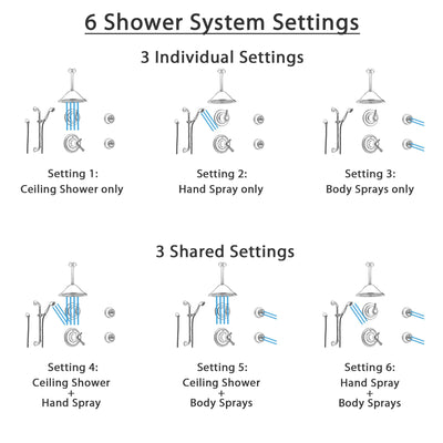 Delta Cassidy Stainless Steel Shower System with Thermostatic Shower Handle, 6-setting Diverter, Large Ceiling Mount Rain Showerhead, Handheld Shower, and 2 Body Sprays SS17T9795SS