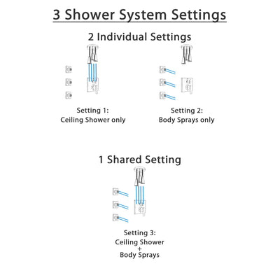 Delta Ara Stainless Steel Finish Shower System with Control Handle, Integrated Diverter, Ceiling Mount Showerhead, and 3 Body Sprays SS24867SS10