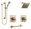 Custom Delta Zura Champagne Bronze Shower System with Separate Controls for Hand Shower and Showerhead Custom388CZ